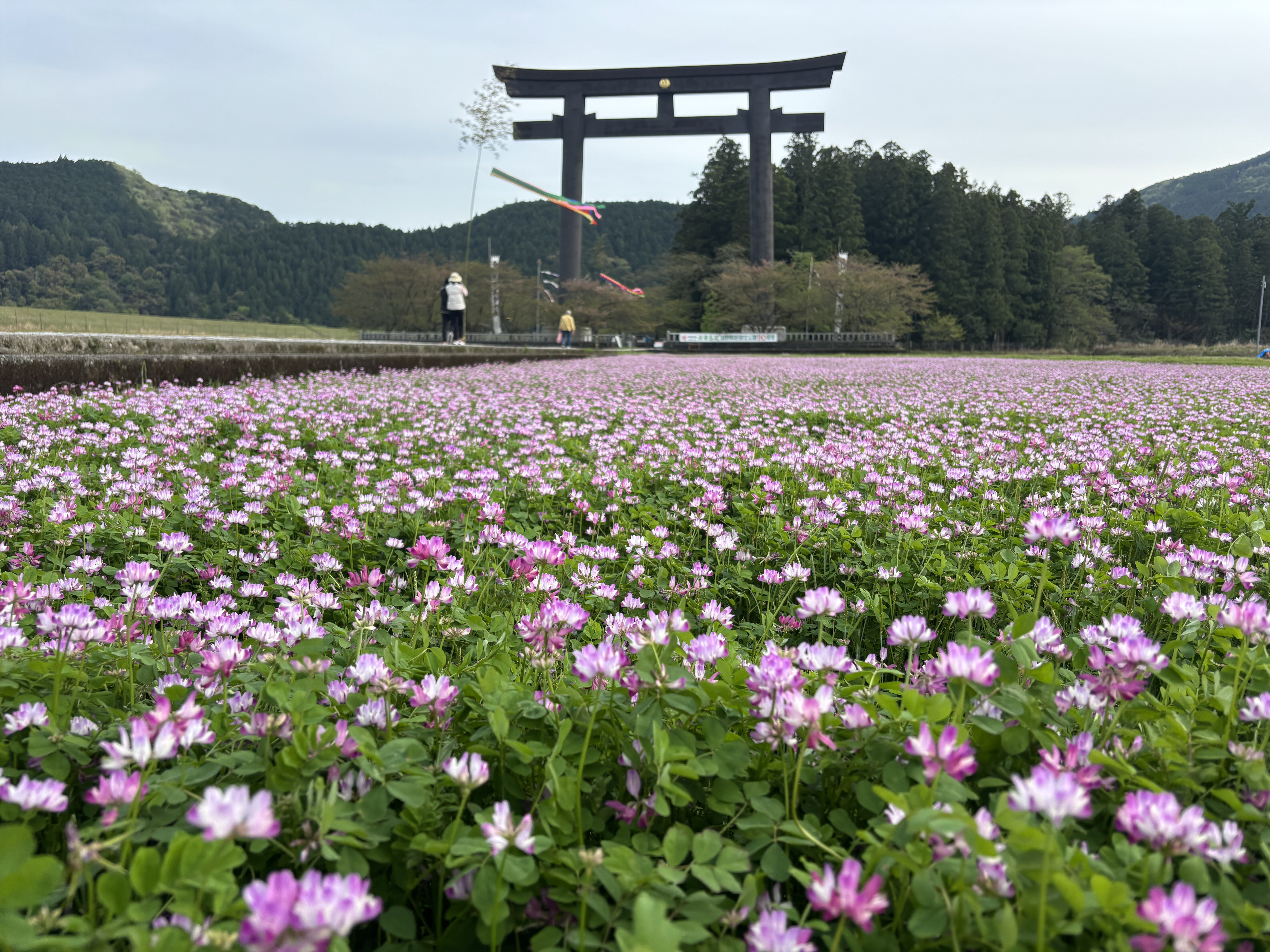 熊野古道
